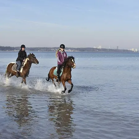 Daire Gemeinsamzeit-auf-2-etagen-im-app-27-strandhafer Timmendorfer Strand
